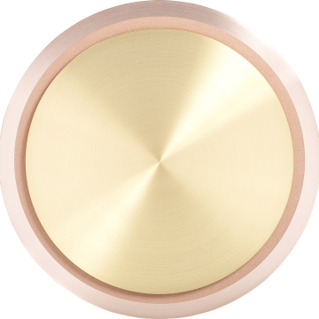 target_Au