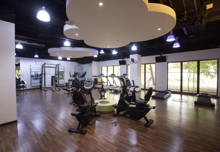 Stress-relieving Entertainment